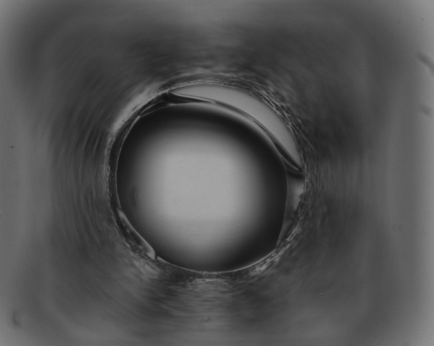 X0000091880150200709191203