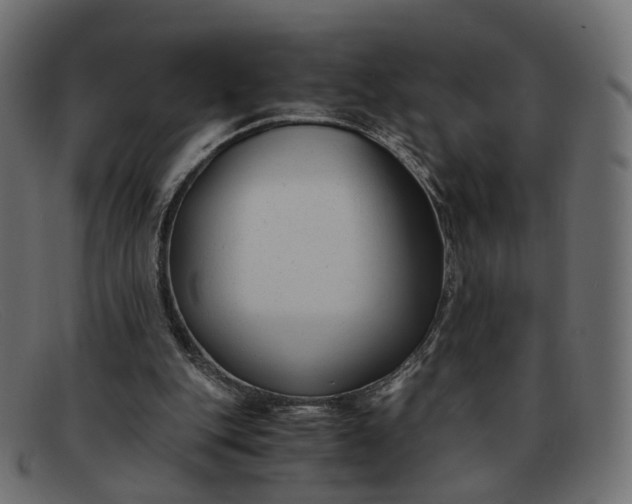 X0000091880151200709191203