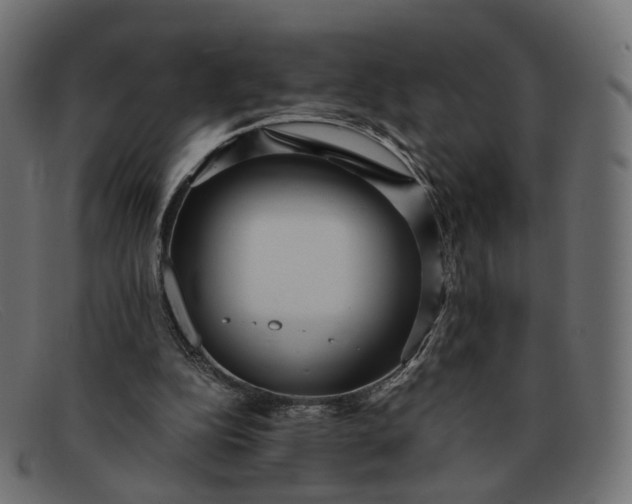 X0000091880152200709191203