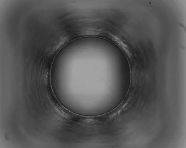 X0000091880153200709191203