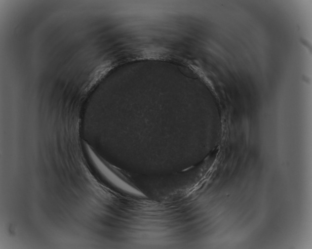 X0000091880154200709191203