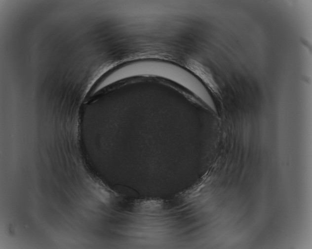 X0000091880156200709191203