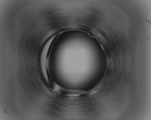 X0000091880158200709191204