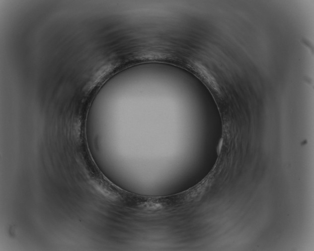 X0000091880159200709191204