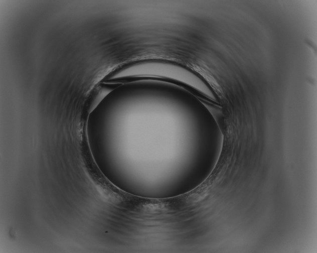 X0000091880160200709191204