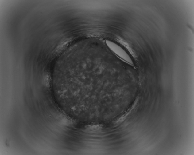 X0000091880161200709191204