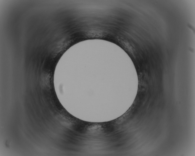 X0000091880162200709191204