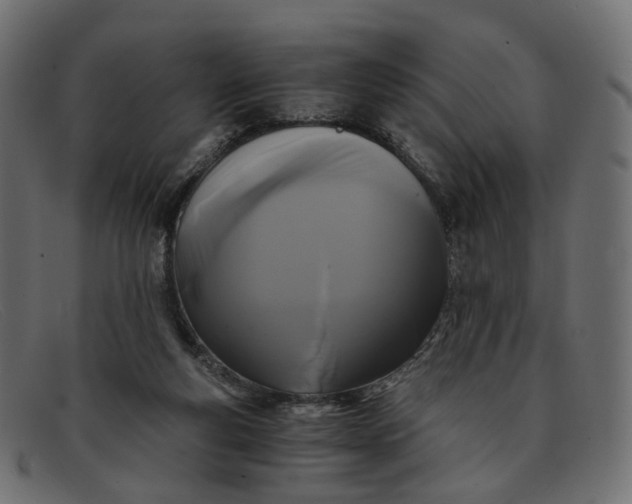 X0000091880163200709191204