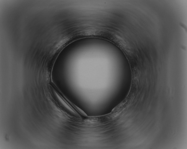 X0000091880164200709191204