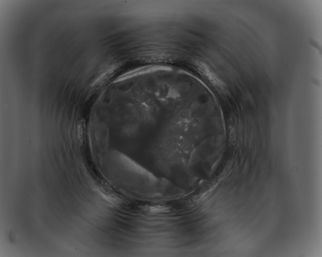 X0000091880165200709191204