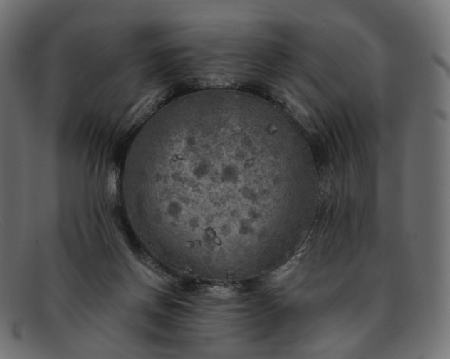 X0000091880166200709191204