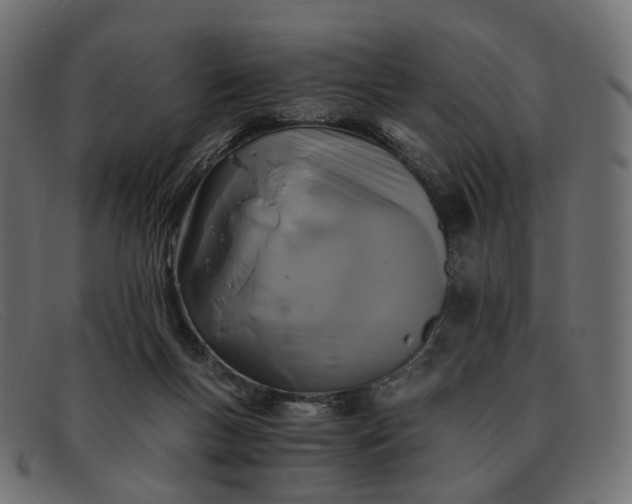 X0000091880167200709191204