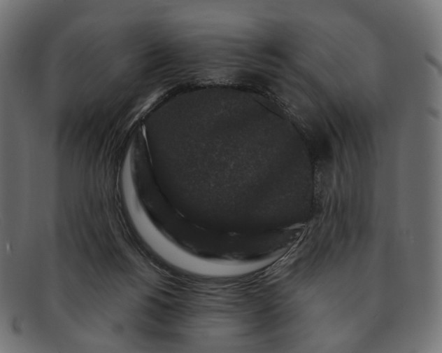 X0000091880168200709191204