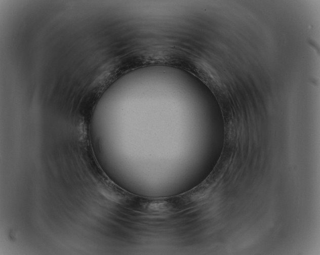 X0000091880173200709191204