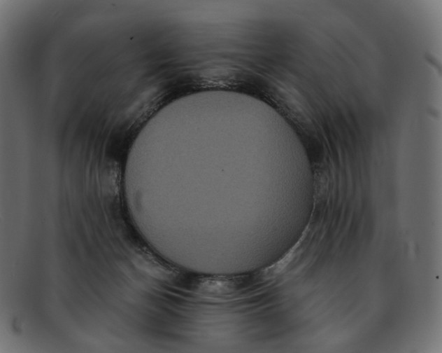 X0000091880174200709191204