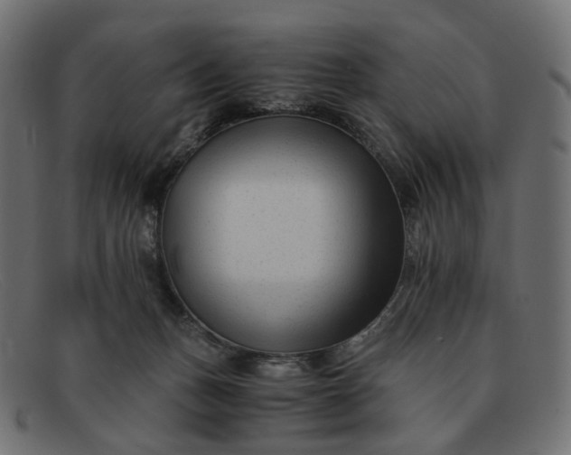 X0000091880175200709191204