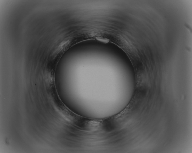 X0000091880176200709191204