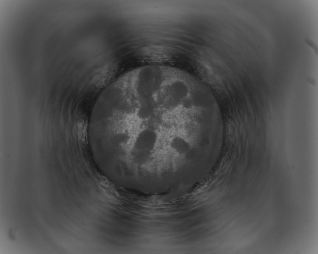 X0000091880177200709191204