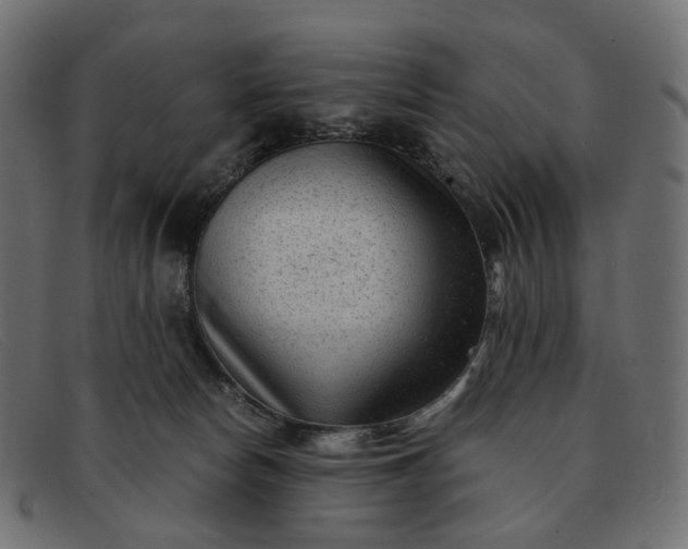 X0000091880178200709191204