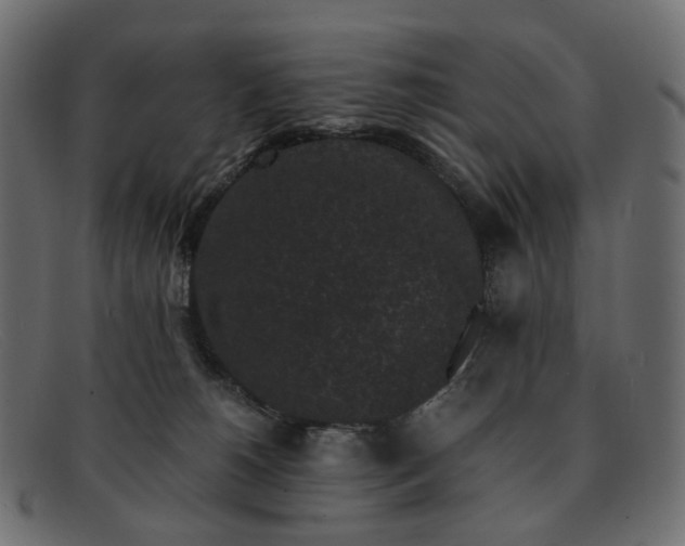 X0000091880180200709191204