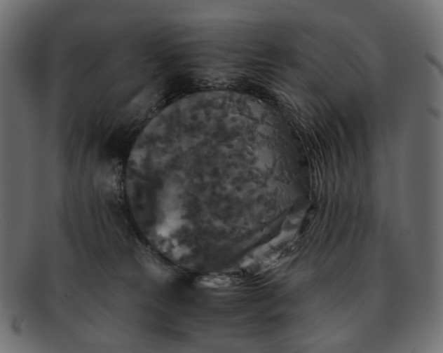 X0000091880181200709191204