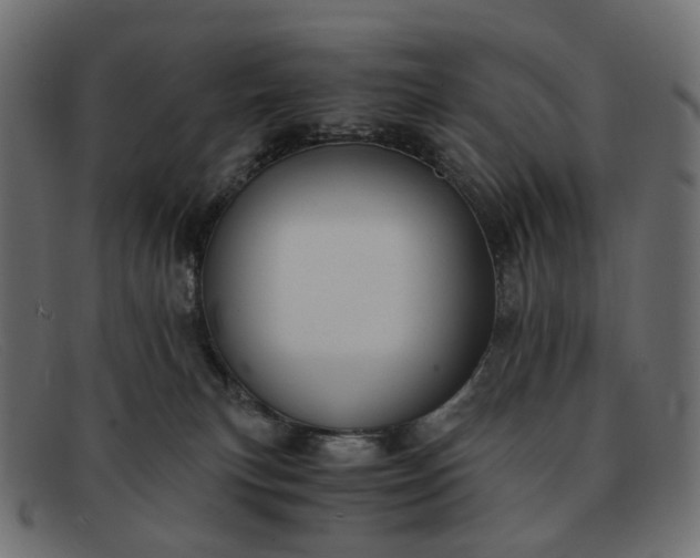 X0000091880183200709191204