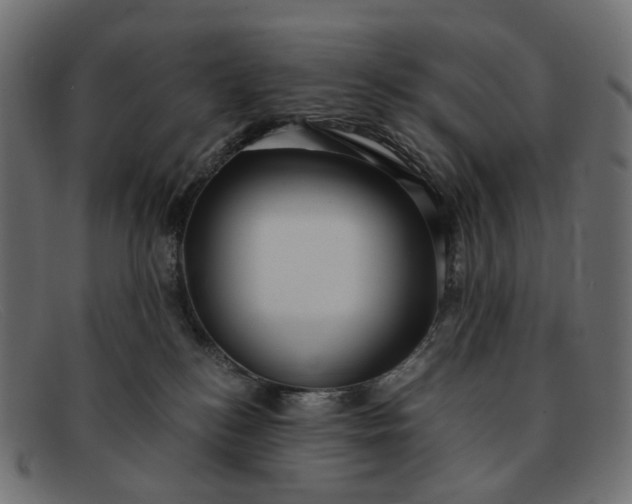 X0000091880184200709191204