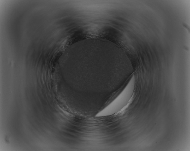 X0000091880186200709191204