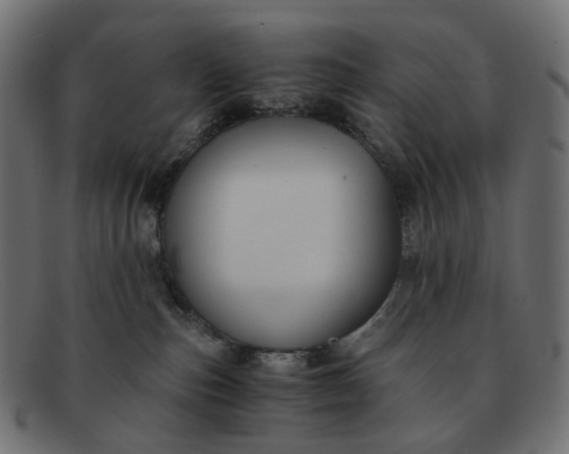 X0000091880187200709191204