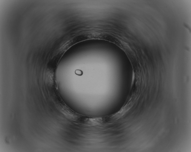 X0000091880188200709191204