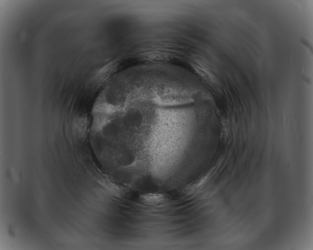 X0000091880189200709191204