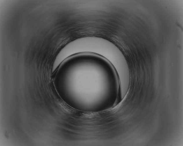 X0000091880190200709191204