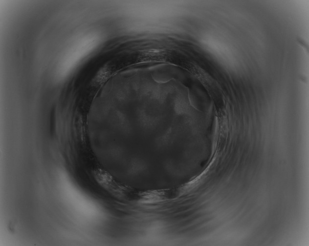 X0000091880191200709191204