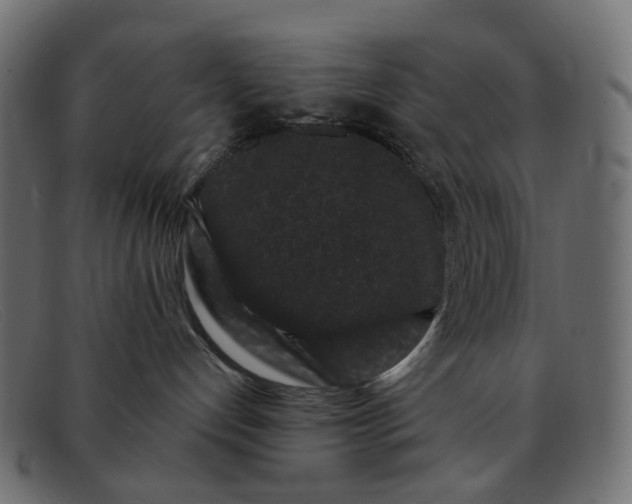 X0000091880192200709191204