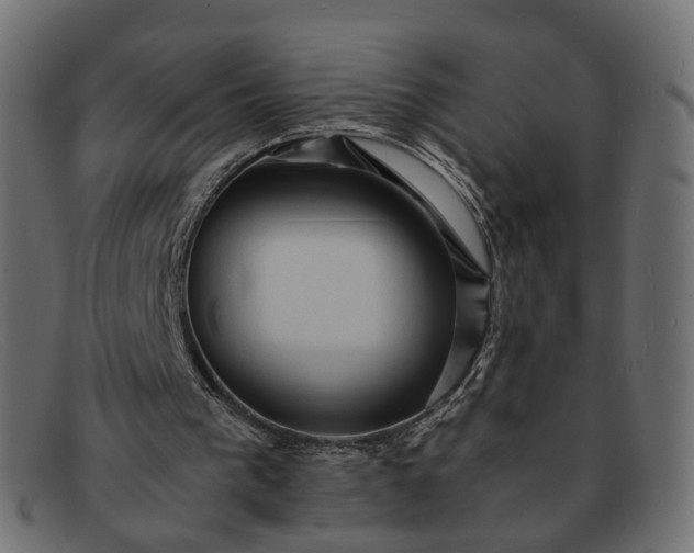 X0000091880193200709191203