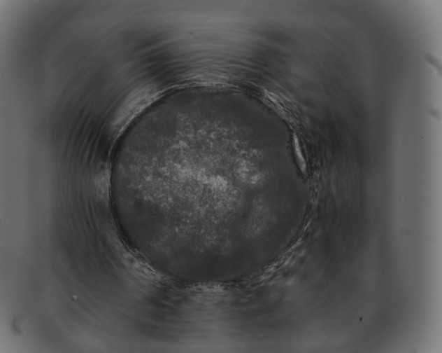 X0000091880194200709191203