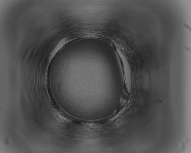 X0000091880195200709191203