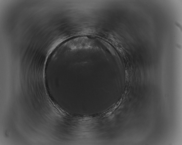 X0000091880196200709191203