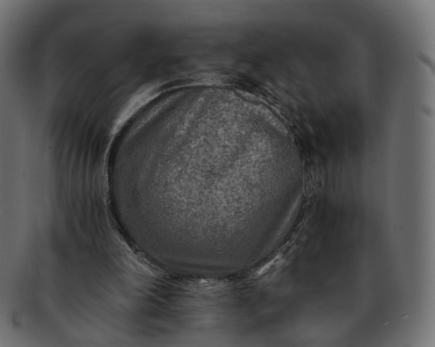 X0000091880198200709191203