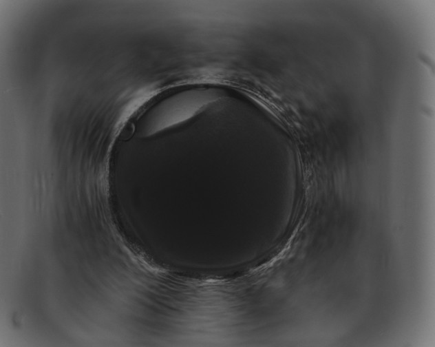 X0000091880200200709191203