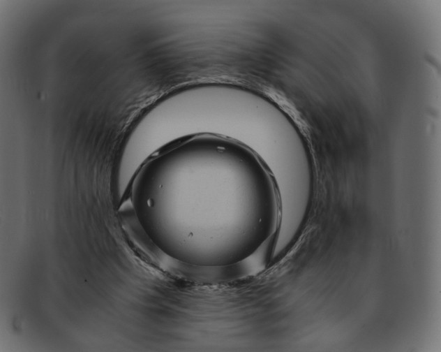 X0000091880201200709191203