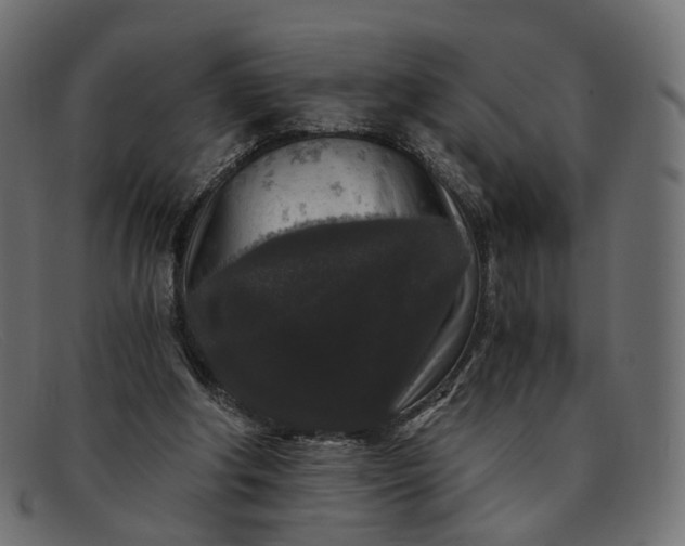 X0000091880202200709191203