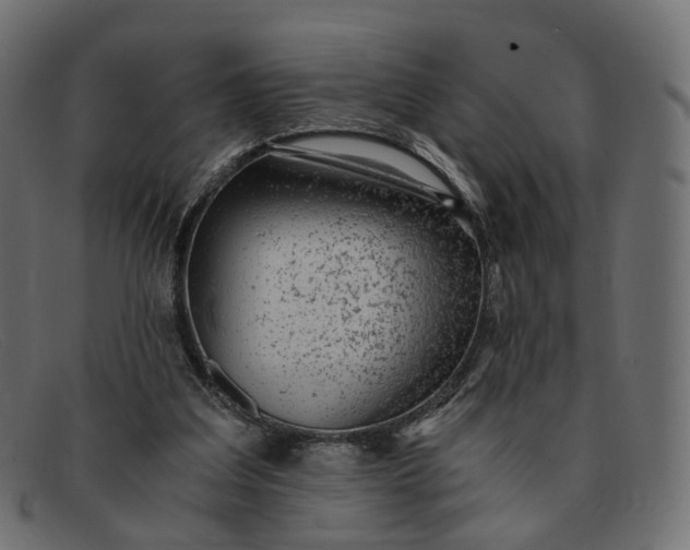 X0000091880203200709191203