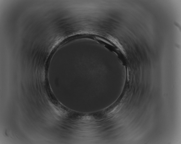 X0000091880204200709191203