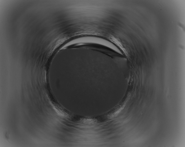 X0000091880205200709191203