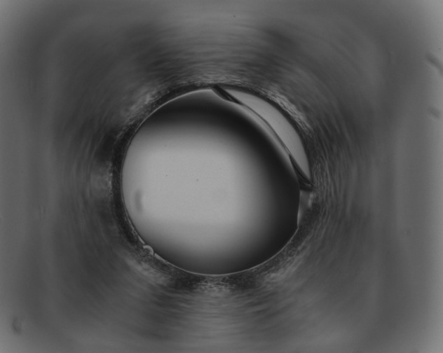 X0000091880207200709191203