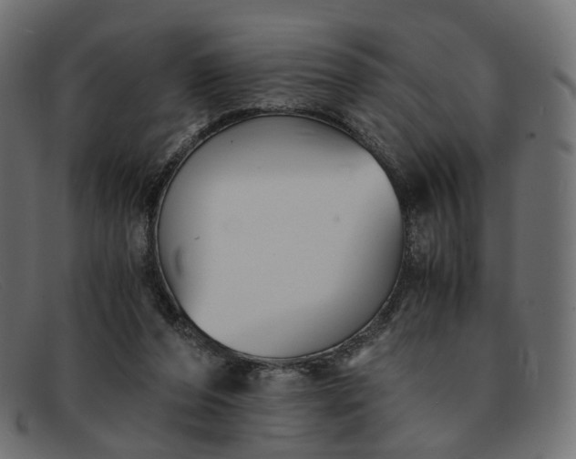 X0000091880208200709191203