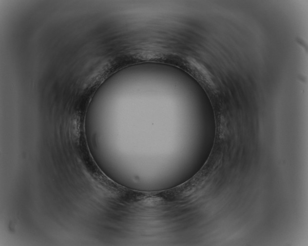 X0000091880210200709191203