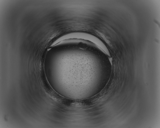 X0000091880211200709191203