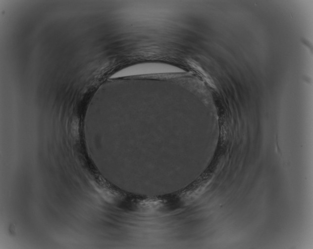 X0000091880213200709191203